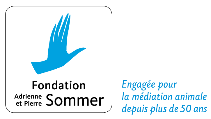 Logo de la Fondation Sommer