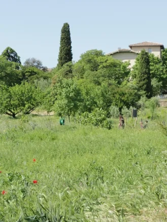 Photo d'un champ enherbé en premier plan, avec des arbes et des enfants en second plan et un batiment de l'Écolothèque en arrière plan