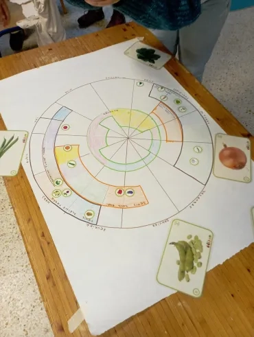 calendrier des semis en forme de circulaire dessiné sur une feuille A3. Quelques photos de légumes autour