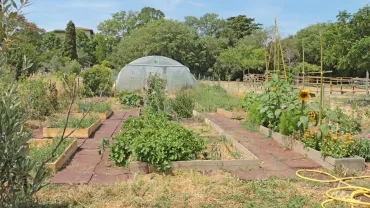 Jardins potagers en carré devant une serre et des arbres en arrière plan 