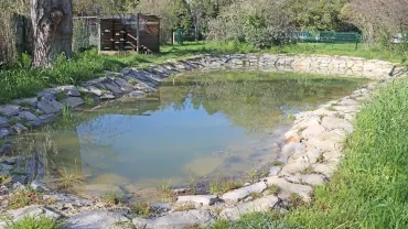 Mare entourée de pierre et abri en bois