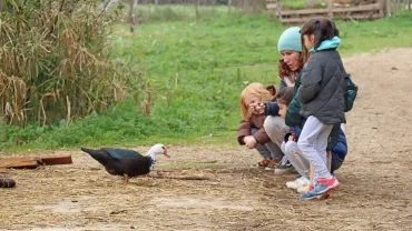 Un groupe d'enfants et leur animatrice observent un canard