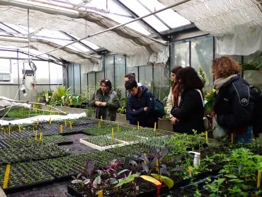 Un groupe d'adultes est dans une serre à bouture