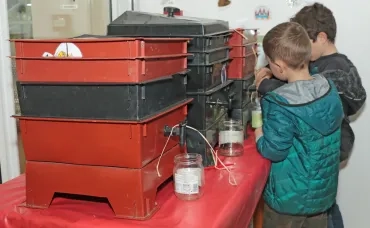 Deux enfants devant trois vermicomposteurs récoltant du « thé de vers » qui est un excellent engrais à utiliser pur ou dilué au jardin