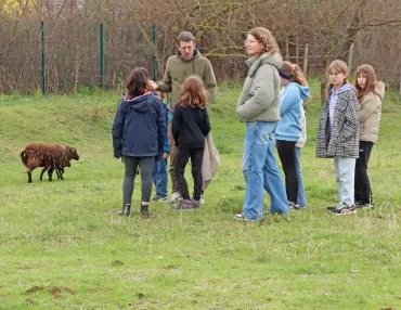 Un groupe d'enfants et leurs animateurs sont dans la pâture des moutons