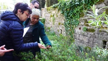 Deux adultes observent une plante