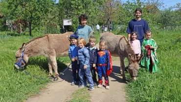 Un groupe d'enfants et leurs animateurs promènent deux ânes