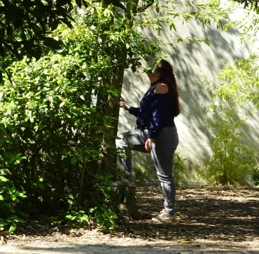 Une adulte touche un arbre