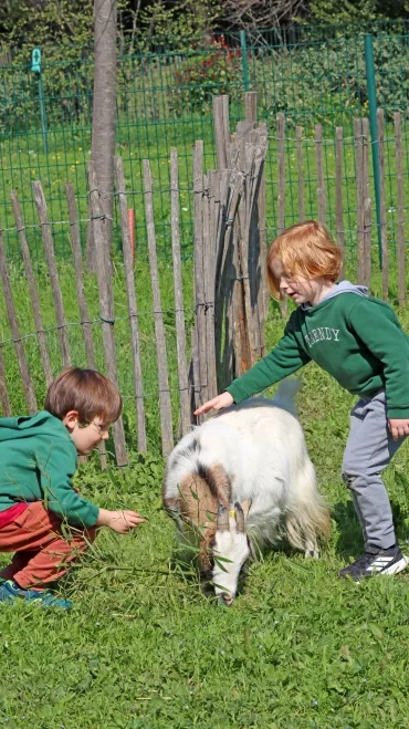deux enfants caressent une chèvre