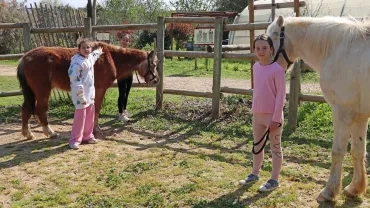 des enfants sont à côtés de deux chevaux dans leur boxe
