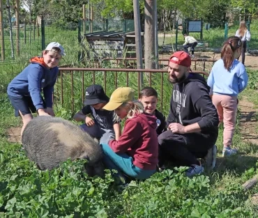 Un groupe d'enfants et leur animateur caressent un cochon