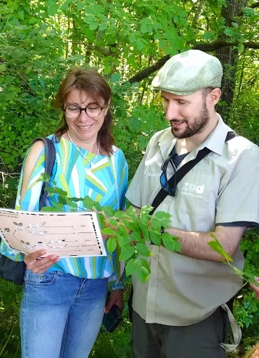 un animateur et une adulte observent une branche d'arbre et une clé de détermination