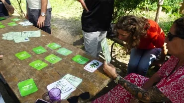 des adultes jouent au mémory des plantes aromatiques