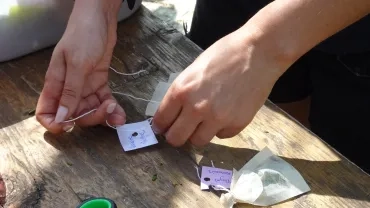 une adulte attache une étiquette à un sachet de thé