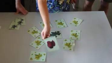 mémory sur les feuilles des arbres