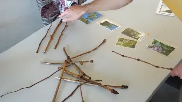 un mikado de rameaux