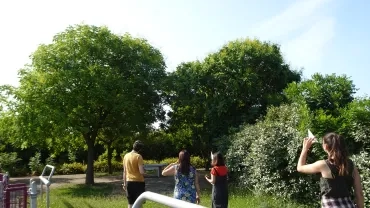 Les adultes utilisent un dendromètre devant un arbre