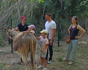 Une famille et l'animatrice sont à côté d'un âne