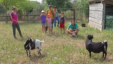 des familles sont devant deux chèvres
