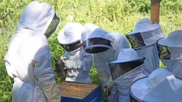 un groupe d'enfants et leur animatrice avec des tenues d'apiculteurs observent une ruche