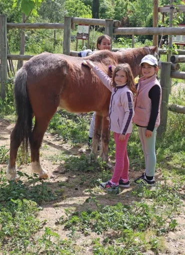 un groupe d'enfants brossent un cheval