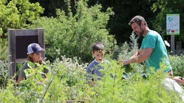 deux enfants et leur animateur récoltent des plantes au jardin