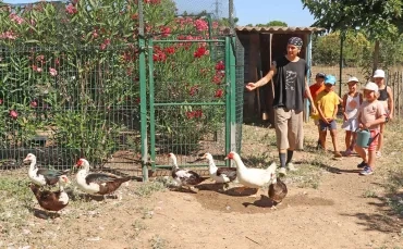 Un groupe d'enfants et leur animatrice dirigent des canards dans leur enclos