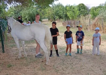 un groupe d'enfants et leur animatrice brossent la queue d'un cheval