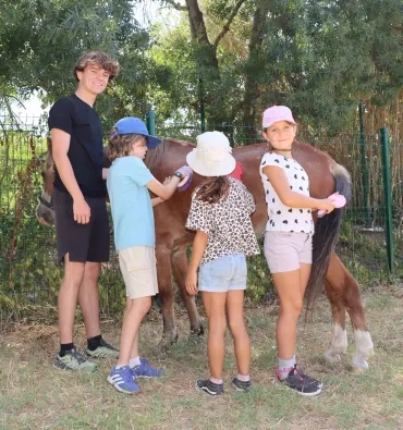 un groupe d'enfants et leur animateur brossent un poney