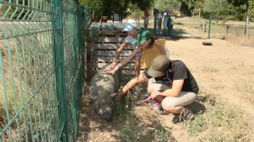 Un animateur avec deux enfants font des caresses au cochon