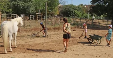 Un groupe d'enfants et leur animatrice ramassent du crotin