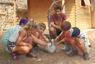 Un groupe d'enfants et leur animateur caressent une dinde