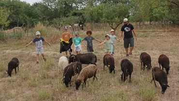 Un groupe d'enfant et un animateur avec les bras écartées dirigent le troupeau de moutons