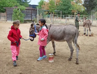 deux enfants dirigent un âne