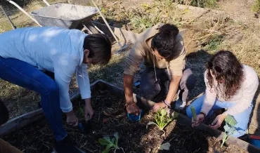 Les participants plantent des légumes et semis
