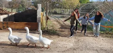 un groupe d'enfants et leur animatrice ouvrent les bras derrière trois oies