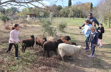 un groupe d'enfants et leur animateur entourent un troupeau de moutons