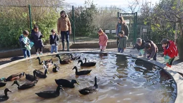 un groupe d'enfants et leurs animateurs sont autour de la mare des canards