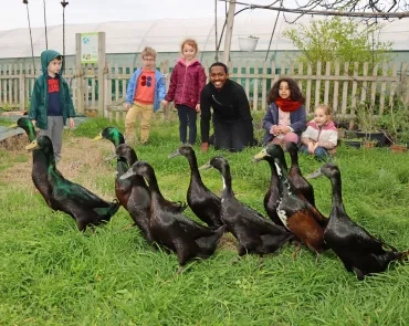 un groupe d'enfants et leur animateur sont derrière un troupeau de canards