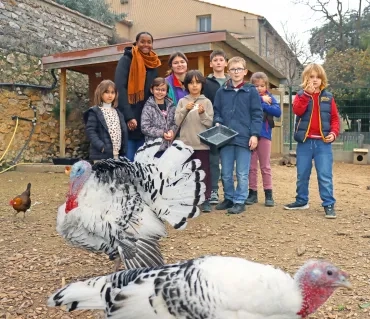 un groupe d'enfants et leur animatrice sont dans le poulailler derrière deux dindes