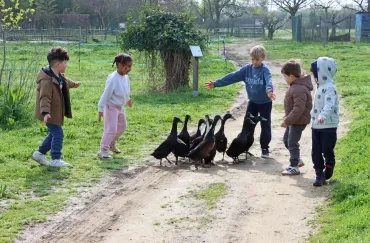 Un groupe d'enfants entoure un troupeau de canards