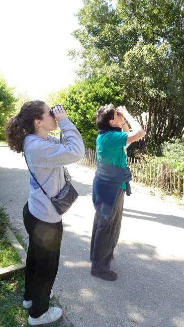 Les participants observent des oiseaux avec des jumelles.