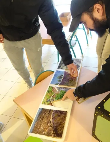 Les participants résolvent un puzzle représentant des lieux de vie de plantes aromatiques.