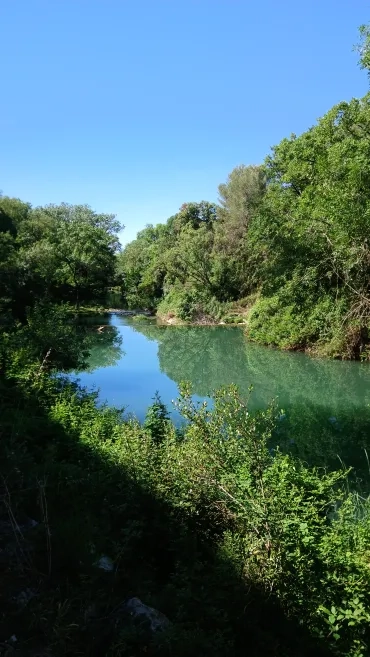 Une photo de la rivière Mosson