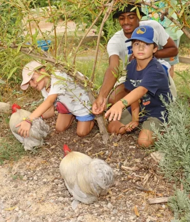 un groupe d'enfants et leur animateur caressent deux coqs