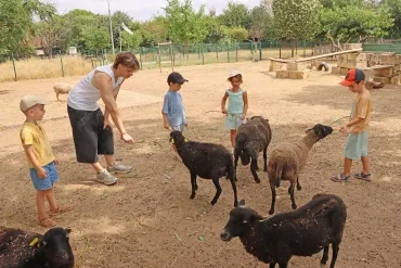 un groupe d'enfants et leur animateur sont avec des moutons