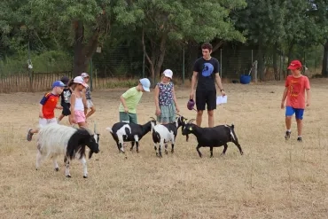 un groupe d'enfants et leur animateur caressent des chèvres