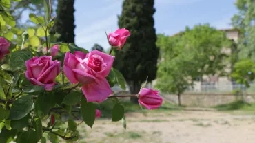 Mercredis de mai 2018