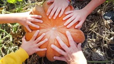Vacances d'automne - 25 au 29 octobre 2021