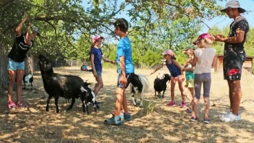 Vacances d'été - 29 juillet au 2 août 2019